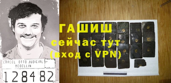 хмурый Пересвет